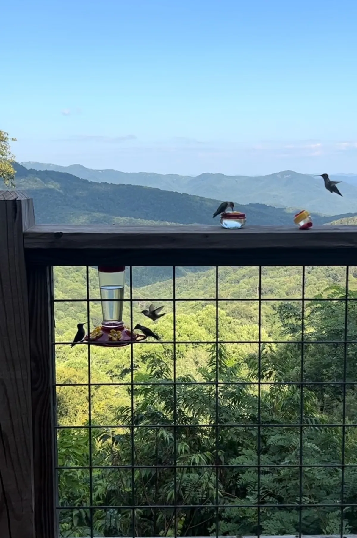 A deck scene with a hummingbird feeder and vibrant hummingbirds in flight, set against a backdrop of mountain vistas. The image conveys a sense of peaceful coexistence with nature and an inviting space to enjoy the outdoors.