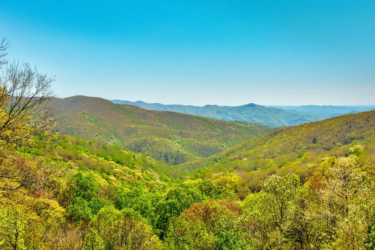A panoramic view across lush green valleys, rolling hills, and distant mountains under a clear sky. The landscape is ideal for hiking, photography, and wildlife observation, showcasing the outdoor adventures awaiting just beyond the property.